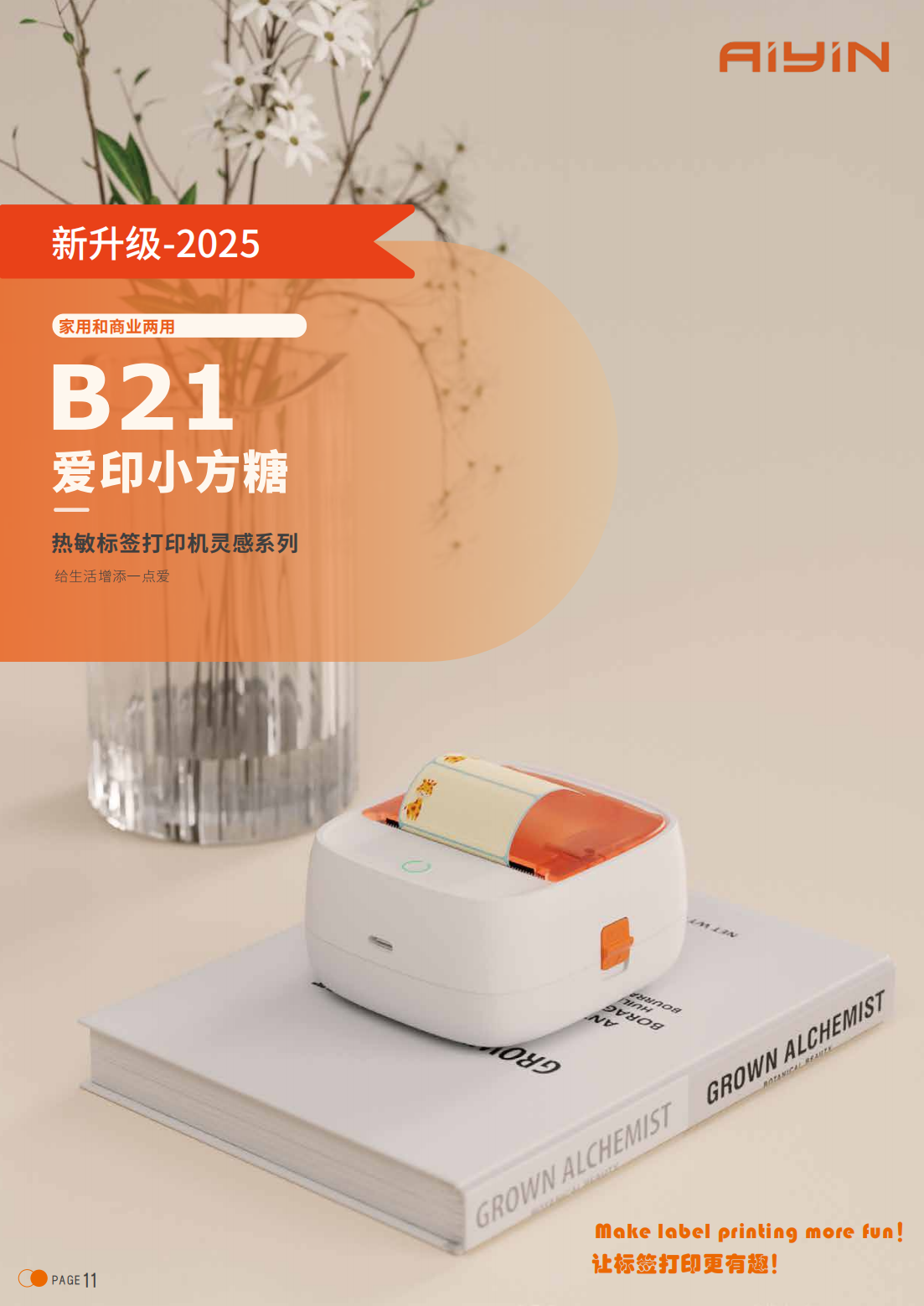 B21-1.png